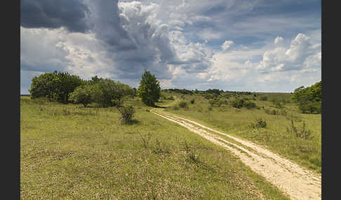 Thüringen (Thuringia)