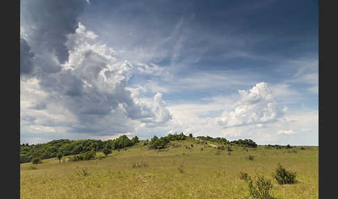 Thüringen (Thuringia)