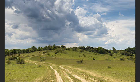 Thüringen (Thuringia)