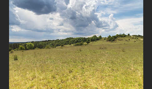 Thüringen (Thuringia)