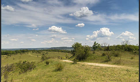 Thüringen (Thuringia)