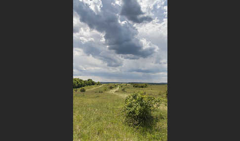 Thüringen (Thuringia)