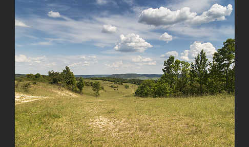 Thüringen (Thuringia)