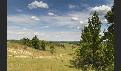 Thüringen (Thuringia)