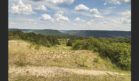 Thüringen (Thuringia)