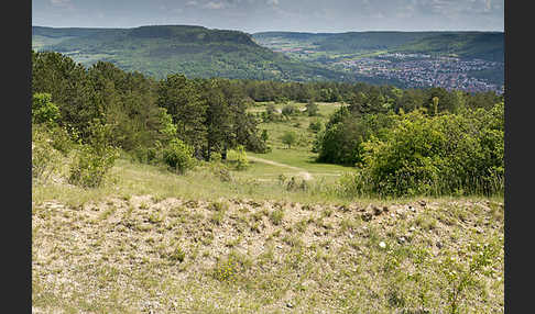 Thüringen (Thuringia)