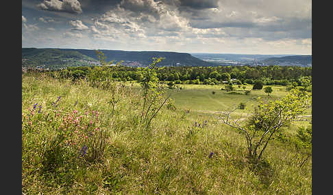 Thüringen (Thuringia)