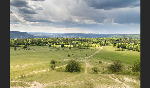 Thüringen (Thuringia)