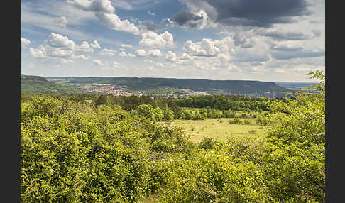 Thüringen (Thuringia)