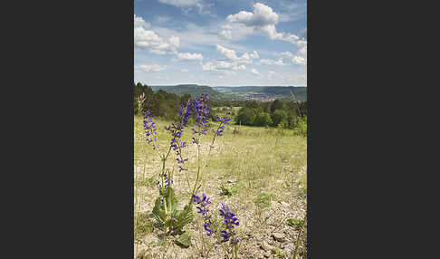 Thüringen (Thuringia)