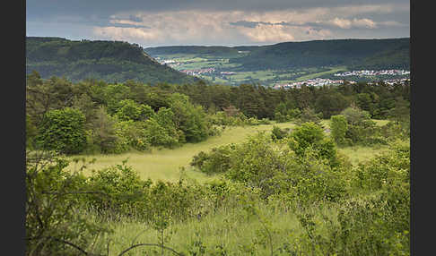 Thüringen (Thuringia)