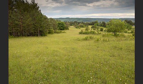 Thüringen (Thuringia)