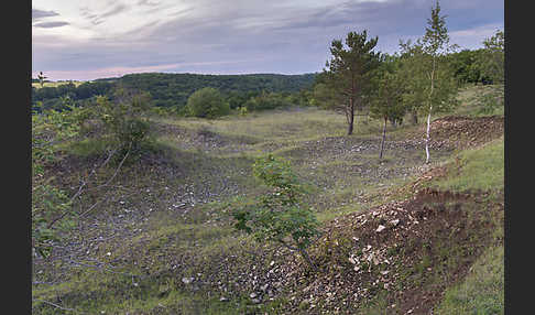 Thüringen (Thuringia)