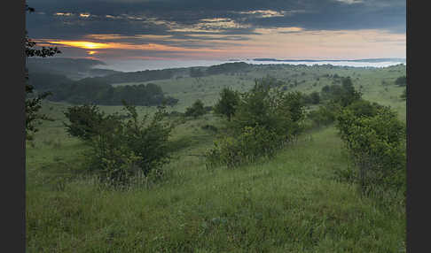 Thüringen (Thuringia)