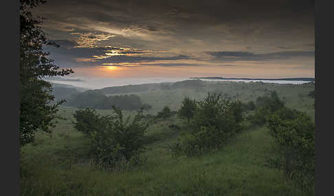 Thüringen (Thuringia)