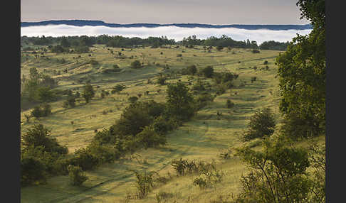 Thüringen (Thuringia)