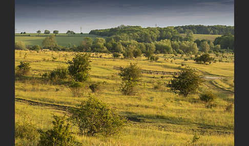 Thüringen (Thuringia)