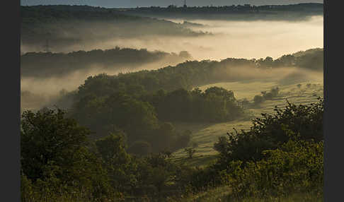 Thüringen (Thuringia)