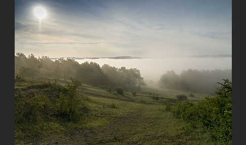 Thüringen (Thuringia)