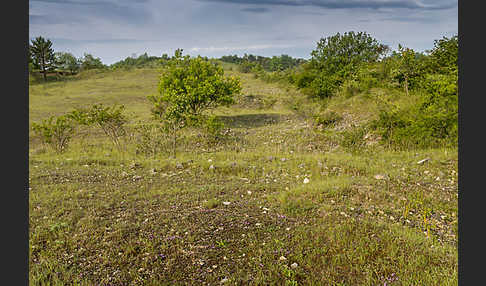 Thüringen (Thuringia)