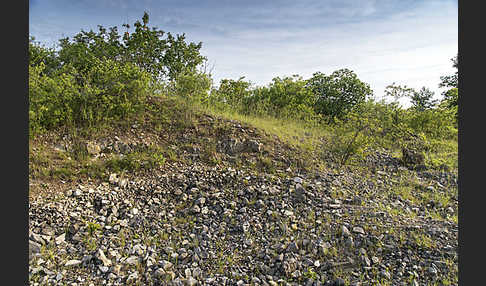 Thüringen (Thuringia)