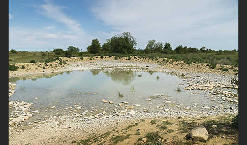 Thüringen (Thuringia)