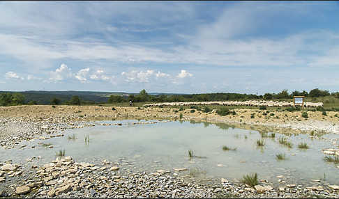 Thüringen (Thuringia)