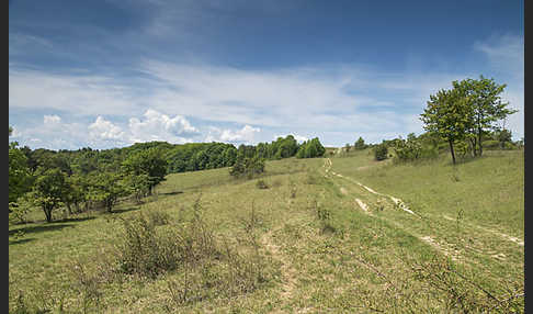 Thüringen (Thuringia)