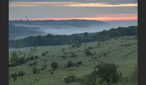 Thüringen (Thuringia)