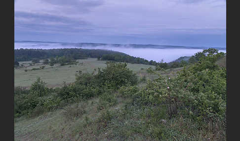 Thüringen (Thuringia)