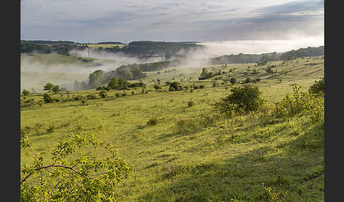 Thüringen (Thuringia)