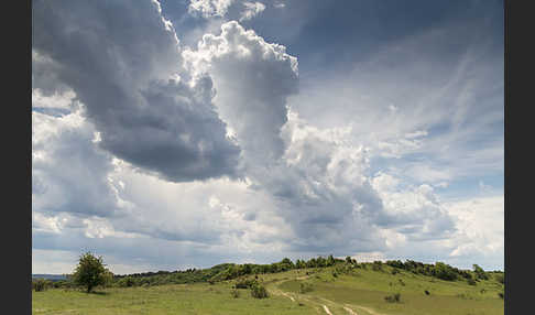 Thüringen (Thuringia)