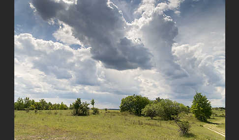 Thüringen (Thuringia)