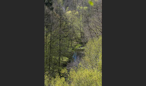 Thüringen (Thuringia)