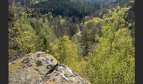 Thüringen (Thuringia)