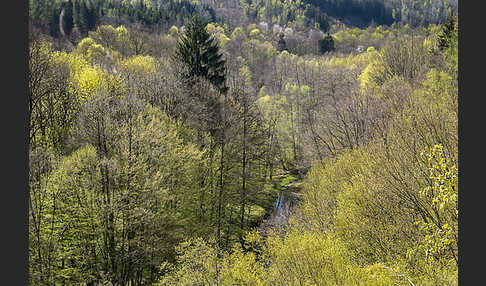 Thüringen (Thuringia)