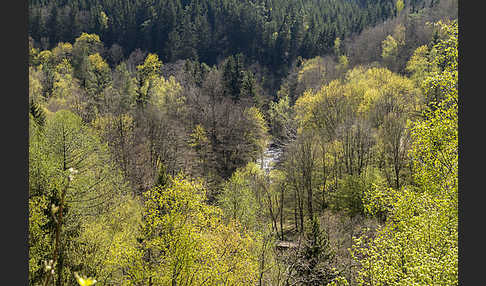 Thüringen (Thuringia)