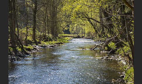 Thüringen (Thuringia)