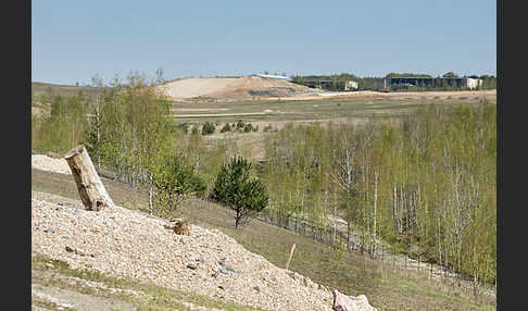 Thüringen (Thuringia)