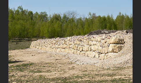 Thüringen (Thuringia)