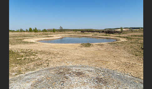 Thüringen (Thuringia)