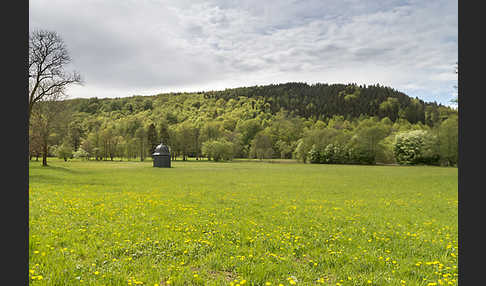 Thüringen (Thuringia)