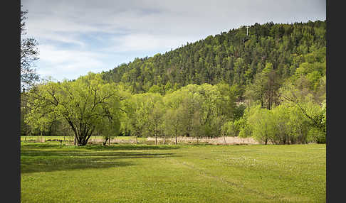 Thüringen (Thuringia)