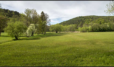 Thüringen (Thuringia)