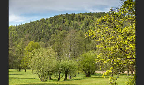 Thüringen (Thuringia)