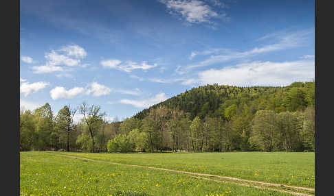 Thüringen (Thuringia)