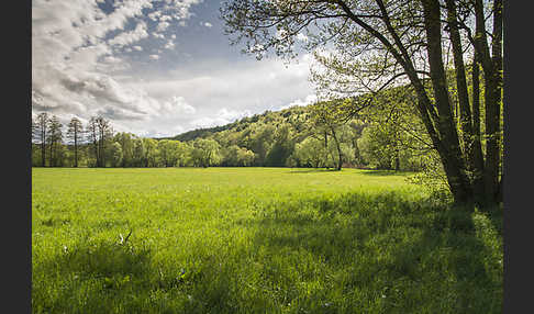 Thüringen (Thuringia)