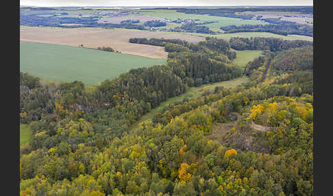 Thüringen (Thuringia)