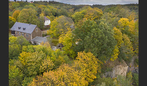 Thüringen (Thuringia)