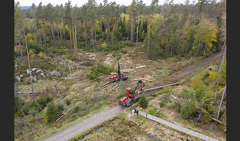 Thüringen (Thuringia)